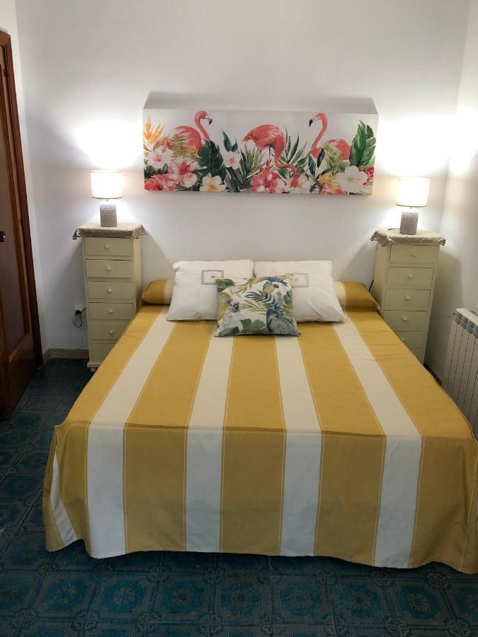 Casa Rural "Casa Maria" Artana Екстер'єр фото